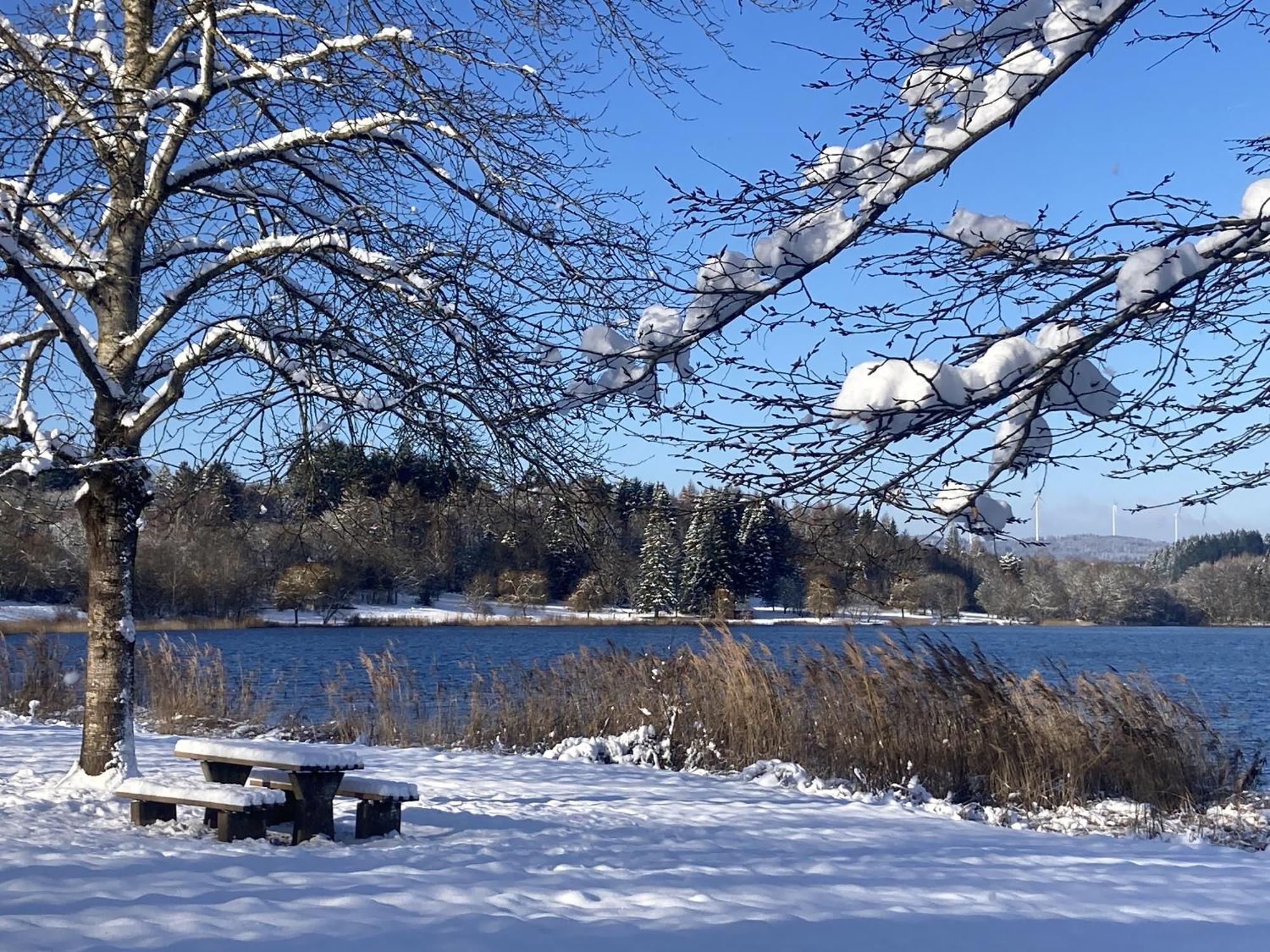 Draussen Am See Losheim Eksteriør billede